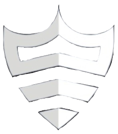 PRECINCT RESPONSE